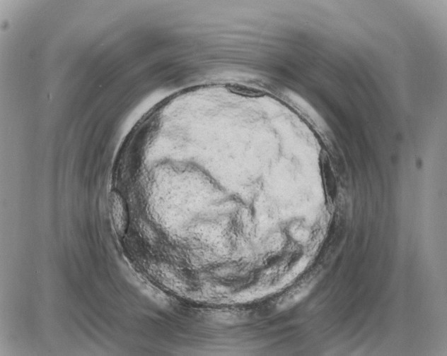 X0000086010948200704201853