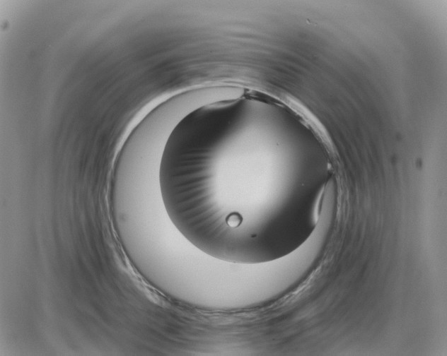 X0000086010956200704201853