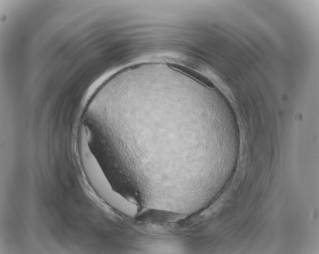 X0000086010960200704201853