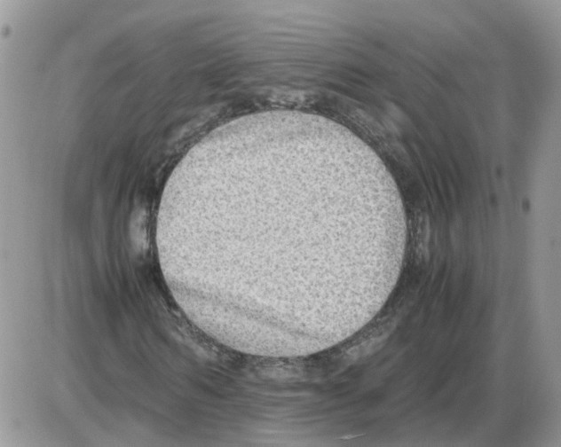 X0000086010962200704201852