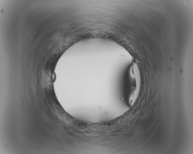 X0000086010963200704201852