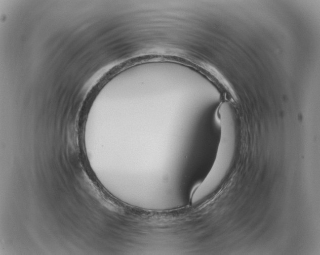 X0000086010972200704201852