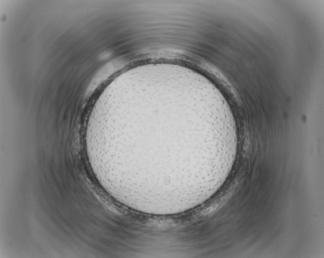 X0000086010978200704201852