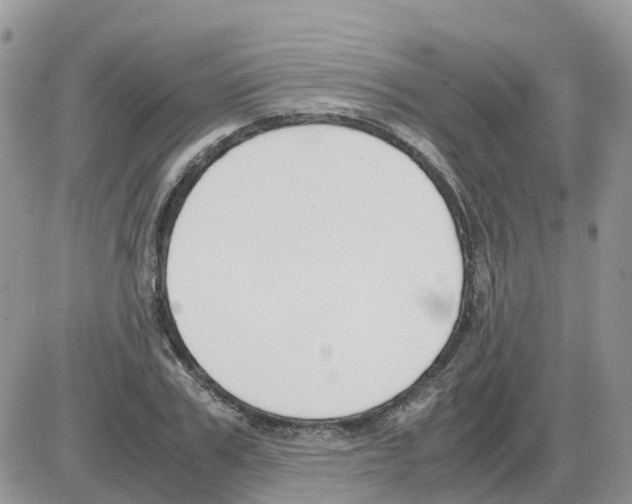 X0000086010979200704201852