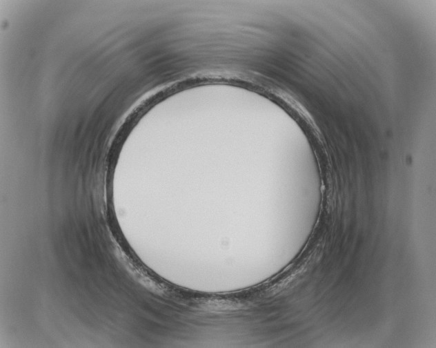 X0000086010984200704201852