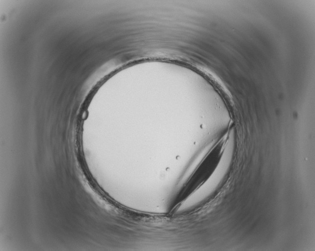 X0000086010991200704201852