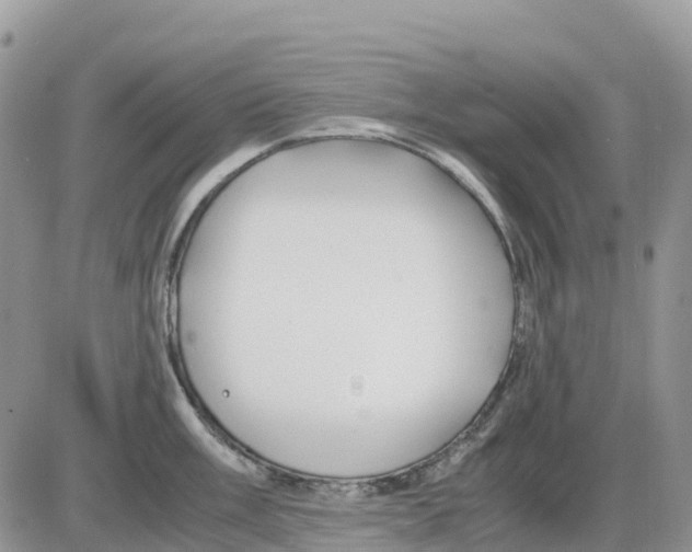 X0000086011003200704201851