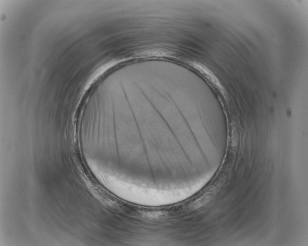 X0000086011031200704201851