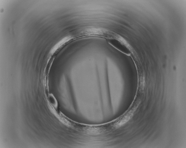 X0000086011034200704201851