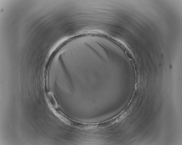 X0000086011038200704201851