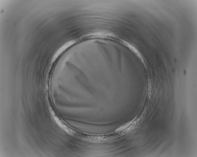 X0000086011042200704201851