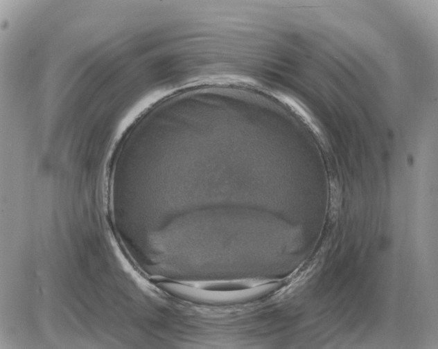 X0000086011046200704201851