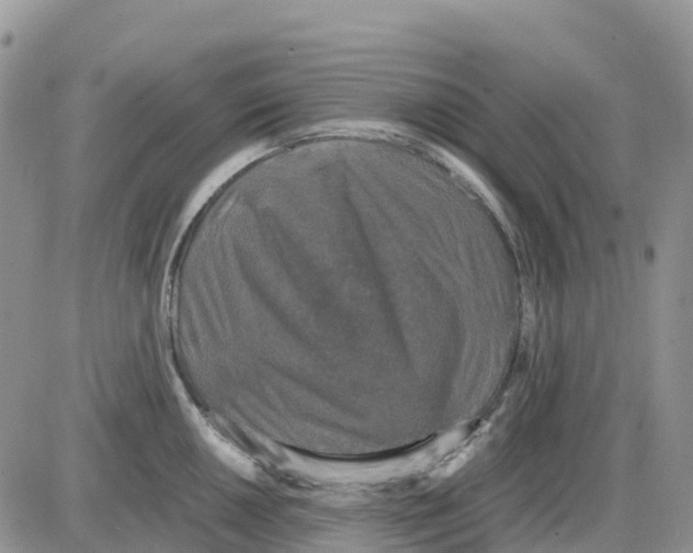 X0000086011050200704201851
