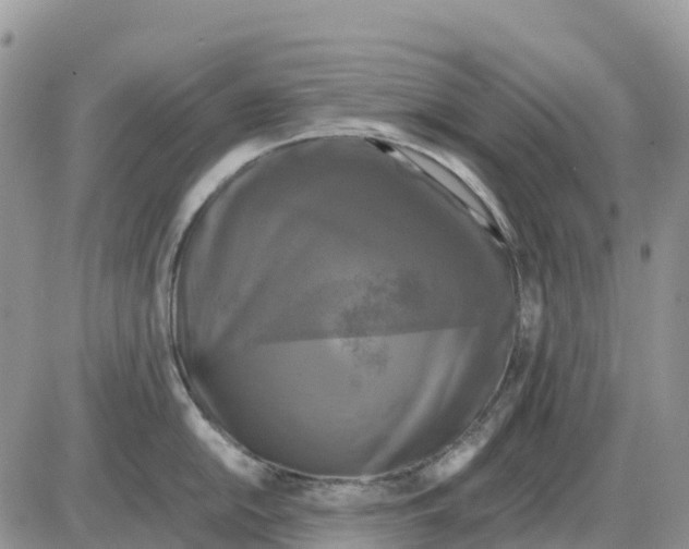 X0000086011054200704201851