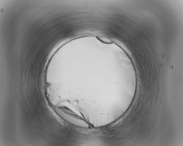 X0000086011056200704201851
