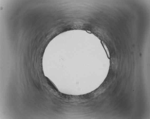 X0000086011057200704201851