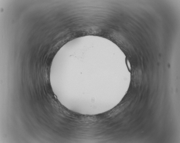 X0000086011058200704201851