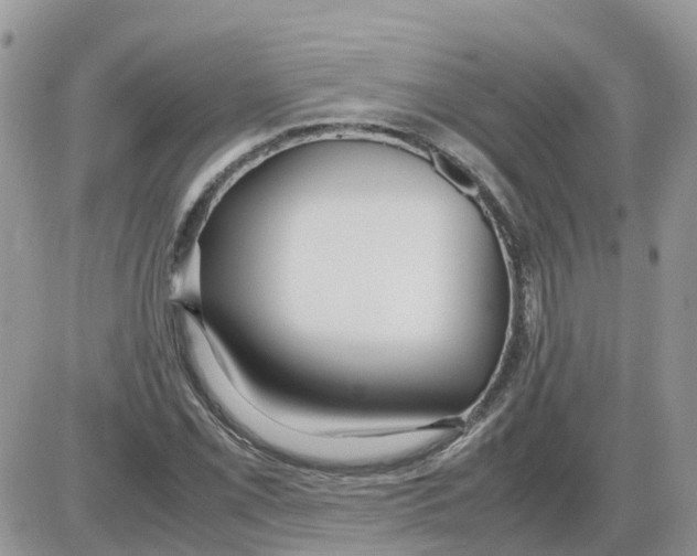 X0000086011069200704201850