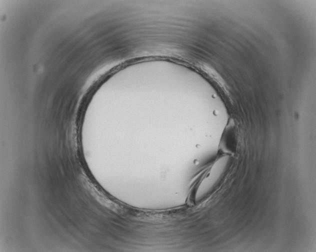 X0000086011072200704201850