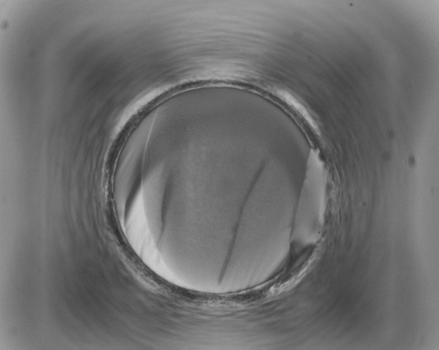 X0000086011077200704201850