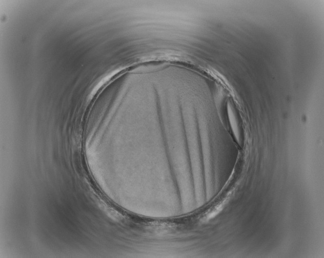 X0000086011081200704201850