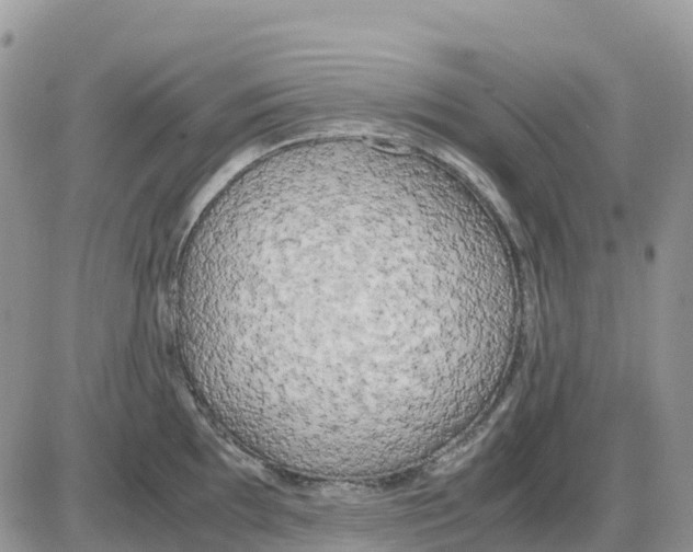 X0000086011097200704201850