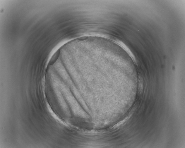 X0000086011100200704201850