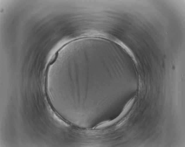 X0000086011102200704201850