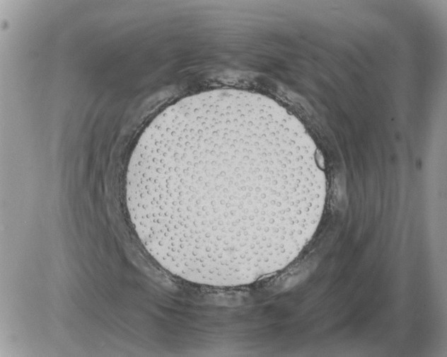 X0000086011105200704201849