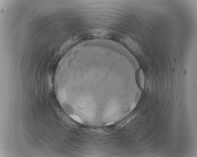 X0000086011106200704201849