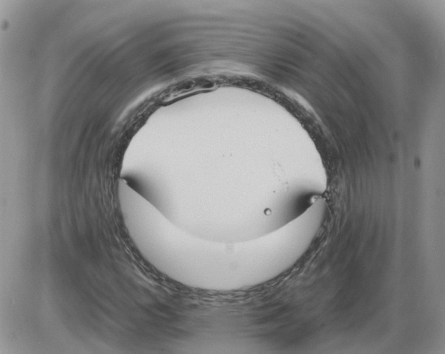 X0000086011112200704201849