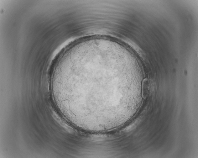 X0000086011118200704201849