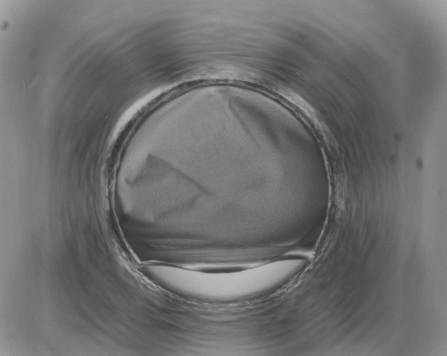 X0000086011120200704201849