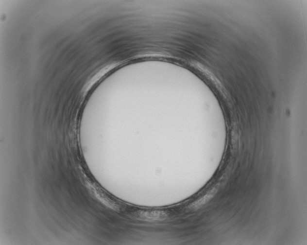 X0000086011129200704201849