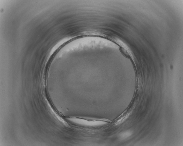 X0000086011141200704201850