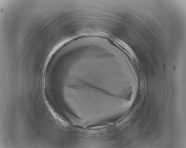 X0000086011144200704201850
