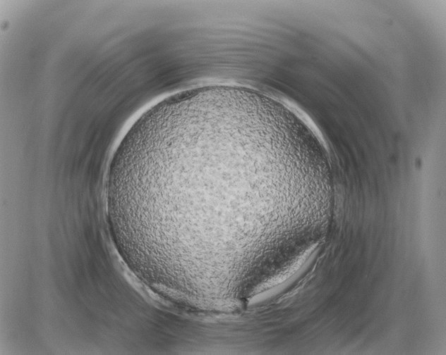 X0000086011148200704201850