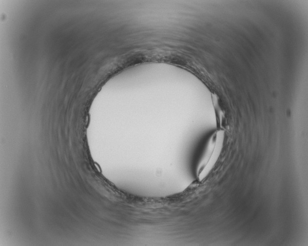 X0000086011153200704201849