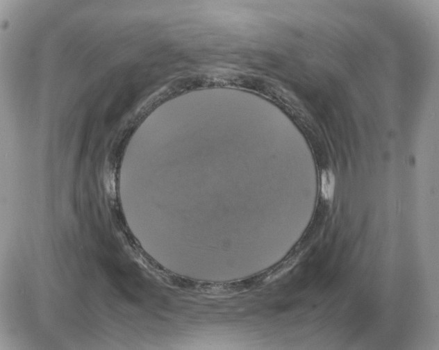 X0000086011155200704201849