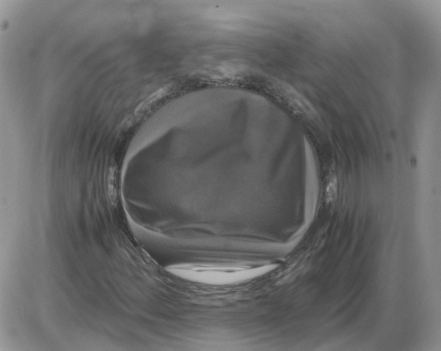 X0000086011156200704201849