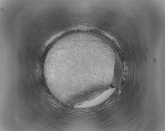 X0000086011160200704201849