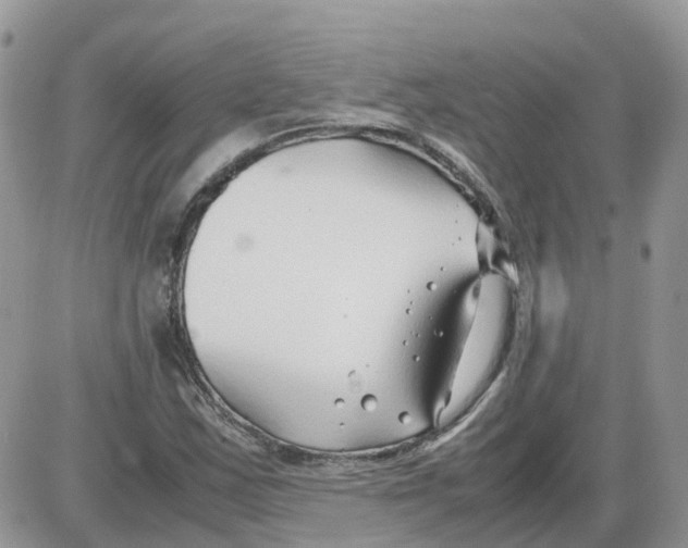 X0000086011163200704201849
