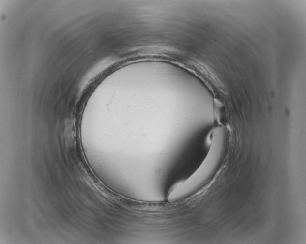 X0000086011164200704201849