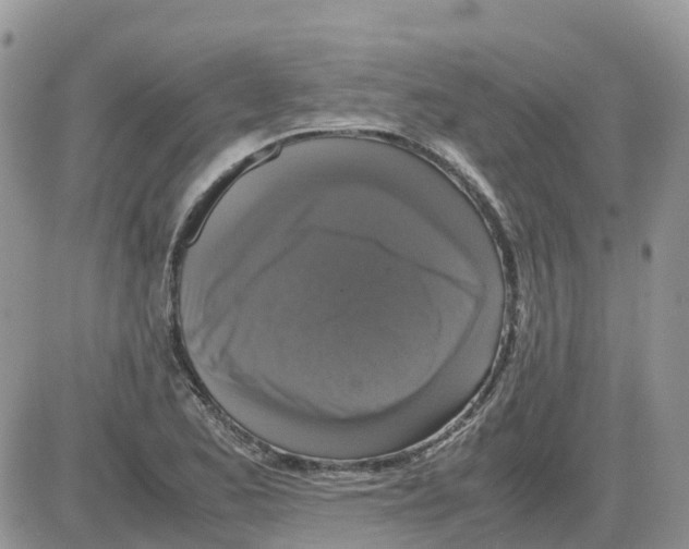 X0000086011173200704201849