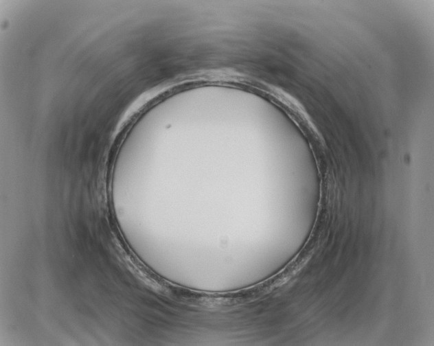 X0000086011176200704201849