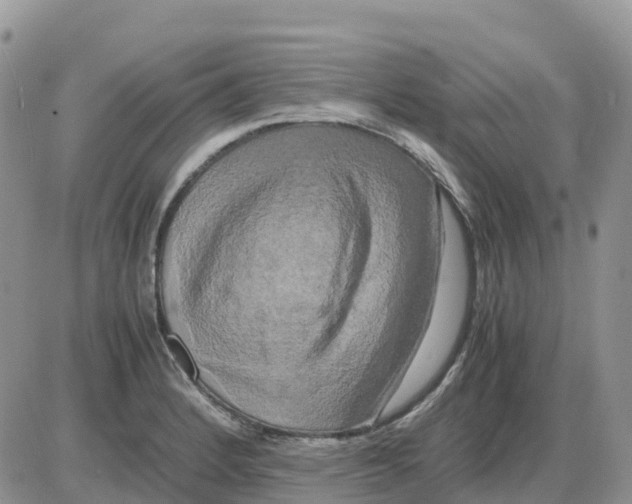 X0000086011184200704201849