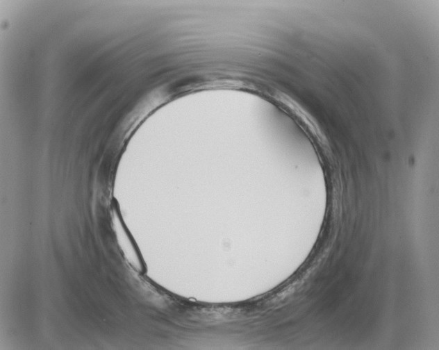 X0000086011193200704201848