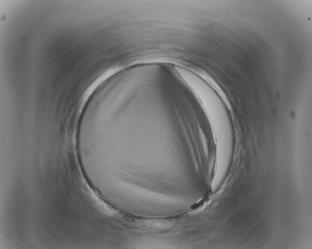 X0000086011197200704201848