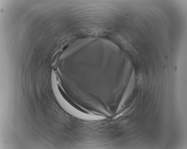 X0000086011202200704201848