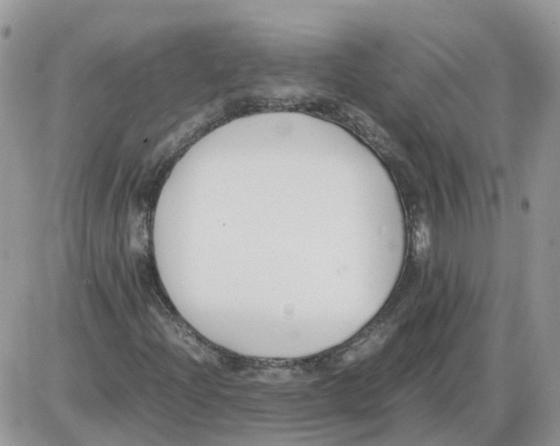 X0000086011204200704201848